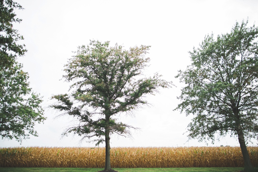 Farmhouse Estate Wedding | Maryland | Victoria Selman Photographer