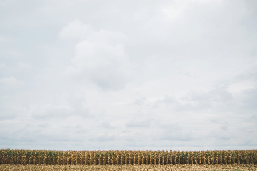 Farmhouse Estate Wedding | Maryland | Victoria Selman Photographer